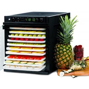 Tribest Sedona Express Kunststoff (sd-p6280-f) Dörrautomat