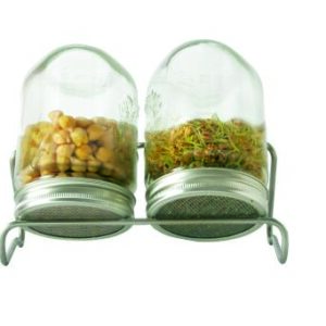 Eschenfelder 2er-Sprossen-Set 1000 ml Glas, Edelstahlring