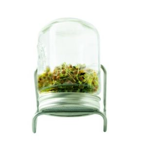 Eschenfelder 1er-Sprossen-Set mit 750 ml Glas