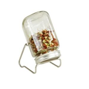 Eschenfelder 1er-Sprossen-Set mit 1000 ml Glas