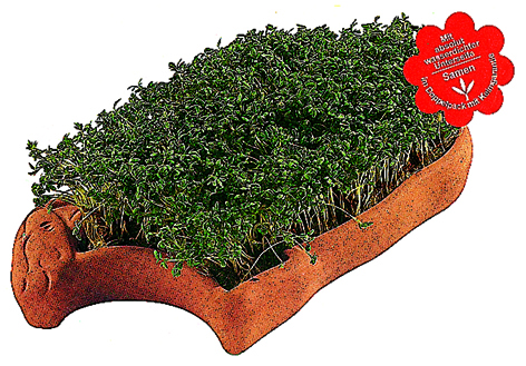 Kresse-Lamm-Geschenkset