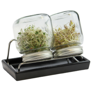 Eschenfelder 2er-Sprossen-System 750 ml anthrazit