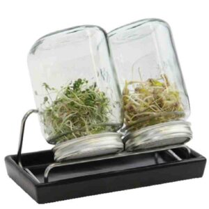 Eschenfelder 2er-Sprossen-System 1000 ml anthrazit