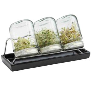 Eschenfelder 3er-Sprossen-System 750 ml anthrazit