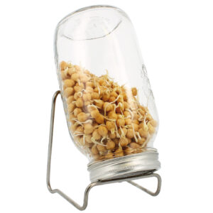 Eschenfelder 1er-Sprossen-Set mit 1500 ml Glas