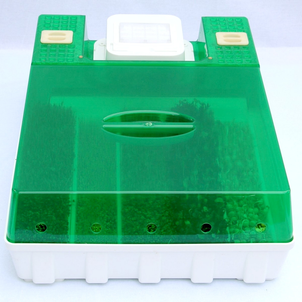 Easygreen Automatisches Keimgerät - Image 3