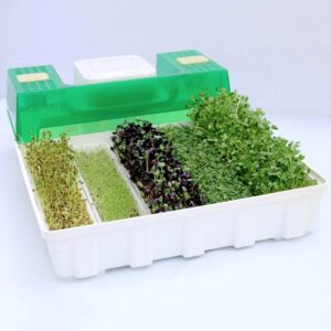 Easygreen Automatisches Keimgerät