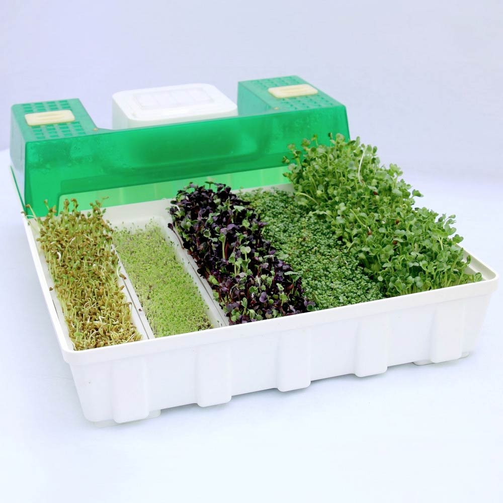 Easygreen Automatisches Keimgerät